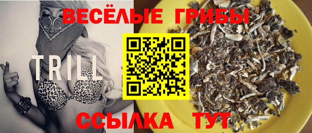 Псилоцибиновые грибы мухоморы  Галлюциногенные грибы мицелий  Егорьевск  что такое   Вход с VPN 
