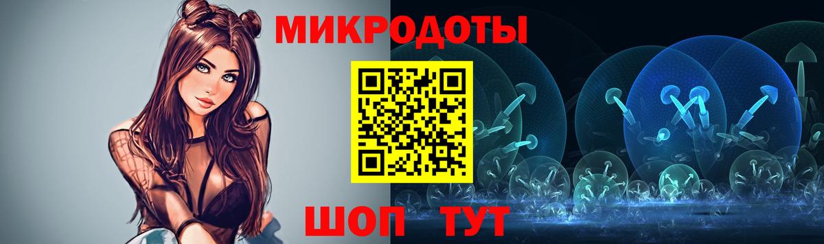 Галлюциногенные грибы Psilocybe Егорьевск